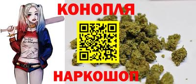 СК Вышний Волочёк